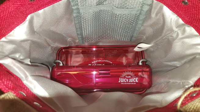 Bento Style Lunch Boxes for Adults - Inside Tote