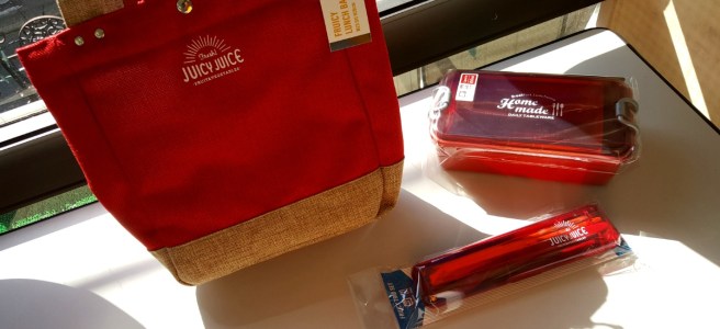 Bento Style Lunch Boxes for Adults - Red Set