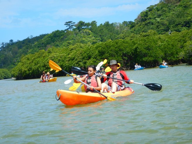 Kayaking Yanbaru Mangrove Okinawa - Complete beginners
