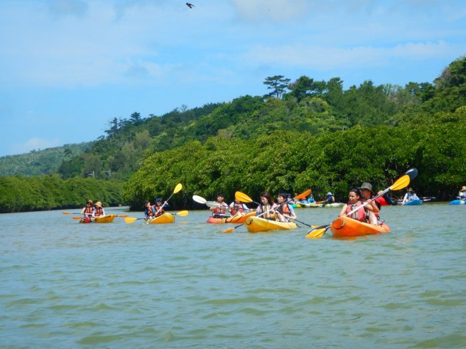 Kayaking Yanbaru Mangrove Okinawa - Course A Group