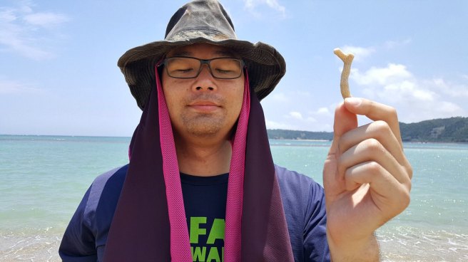 How Okinawa is Different from Mainland Japan - Coral on Beach