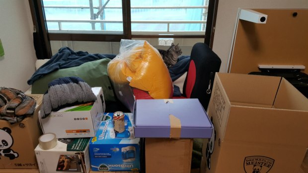 Moving from Tsunashima with cat.